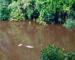 25074823_10107648490166277_1691024787625836166_o