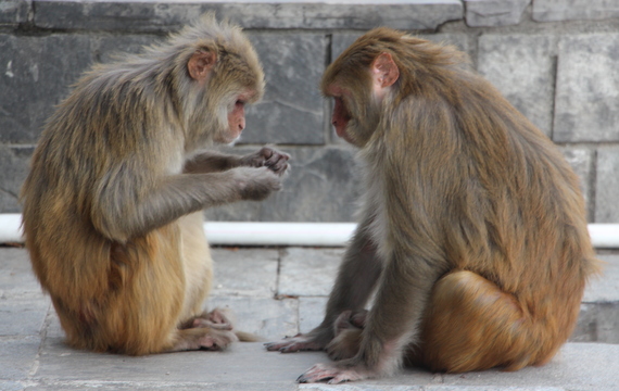 2016-05-31-1464708825-4118814-IMG_6580-thumb