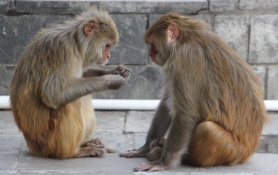 2016-05-31-1464708825-4118814-IMG_6580-thumb